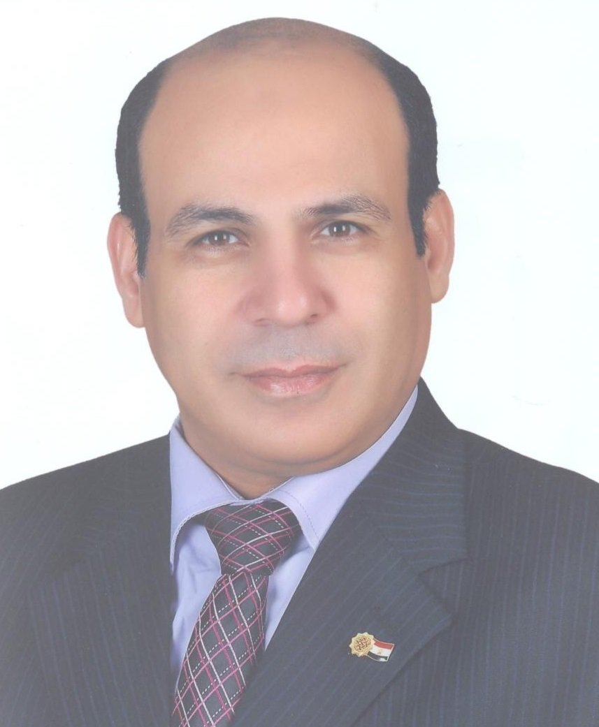 Elsayed Ahmed Elnashar 
