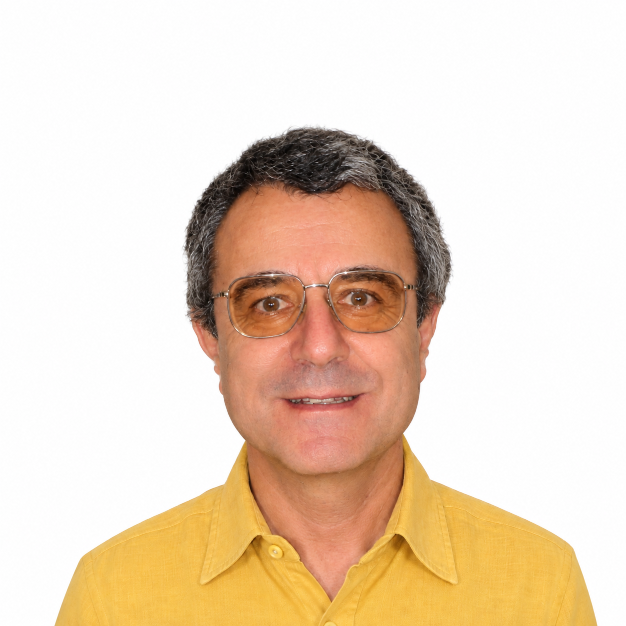 Prof. Patrick  SIARRY
